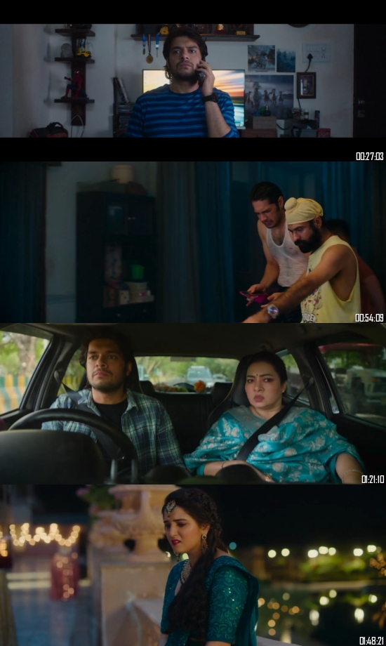 Loveyapa 2025 Hindi 720p HDRip_s